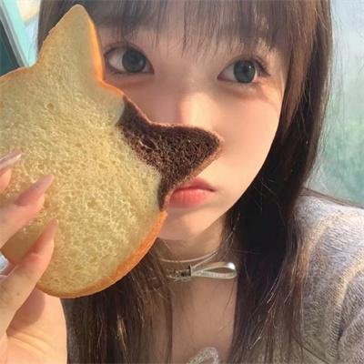 猫和老鼠在纽约